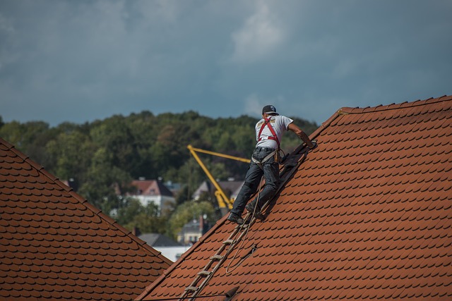 Dachsysteme Rudolph GmbH - Dachdecker(m/w/d)